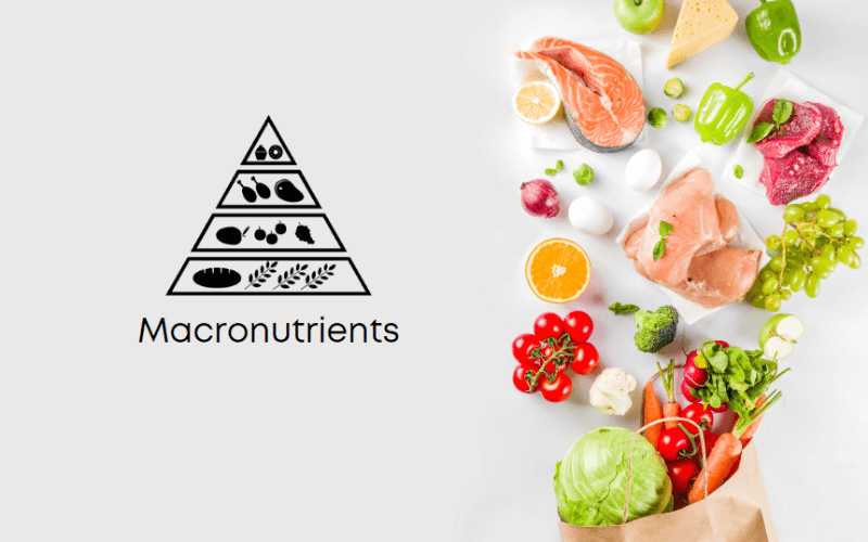 macronutrients for more energy
